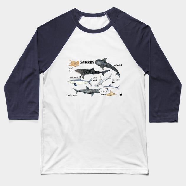 Sharks of the world Baseball T-Shirt by chloeyzoard